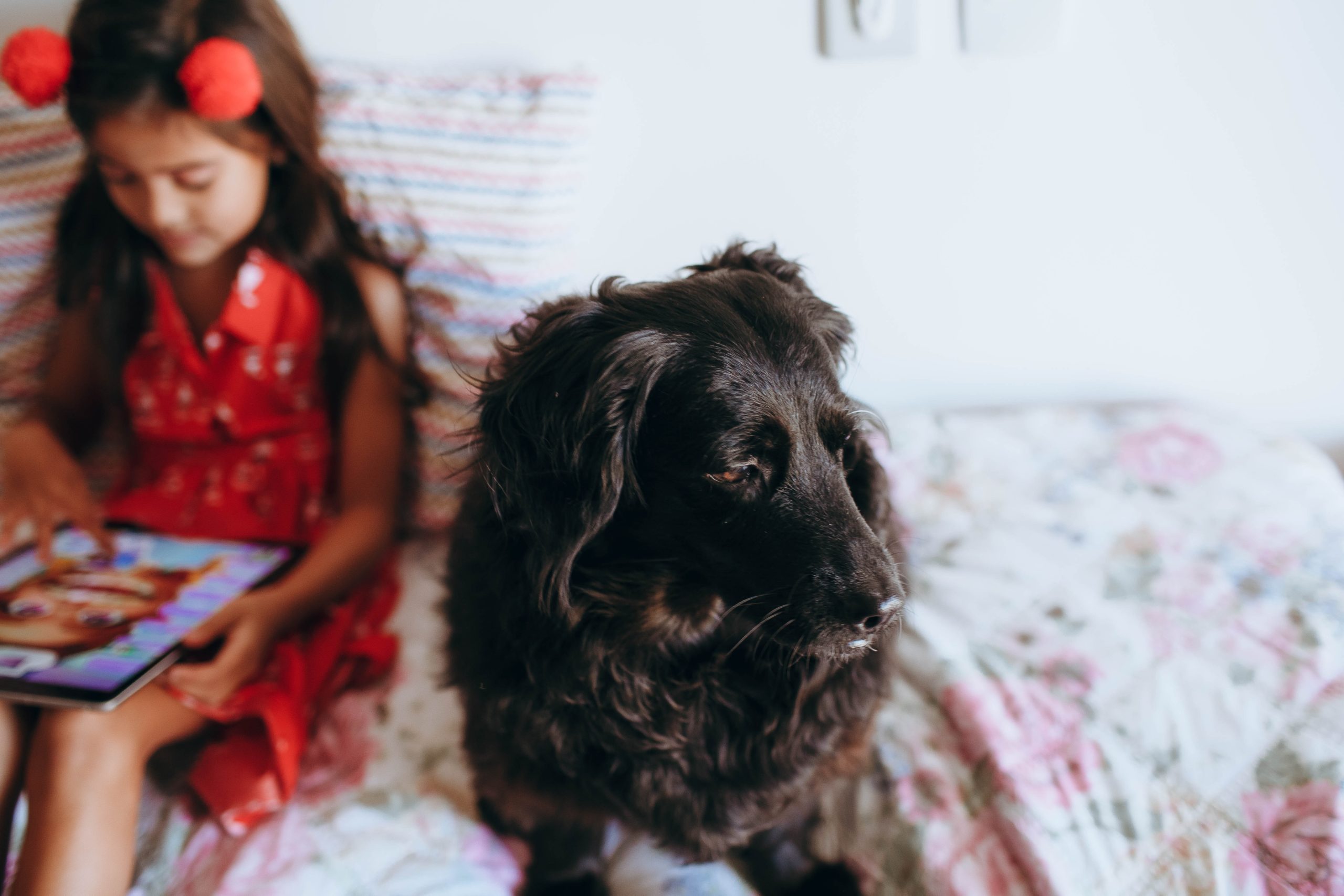 Dogs And Children: Building Safe And Happy Relationships